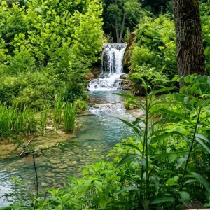 Wandering Brook