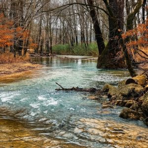 Whispering Shallows
