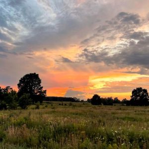 Whispers at Dusk