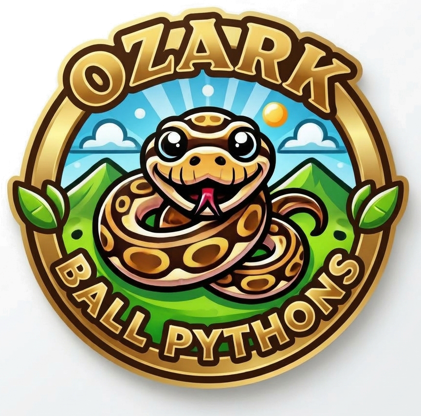 Ozark Ball Pythons